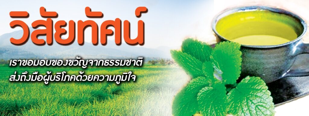 วิสัยทัศน์